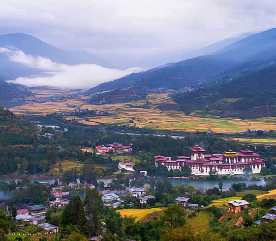 Explore Punakha Valley & visit the most beautiful Dzong Fortress in Bhutan